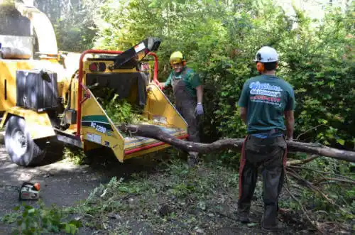 tree services Elk Grove Village